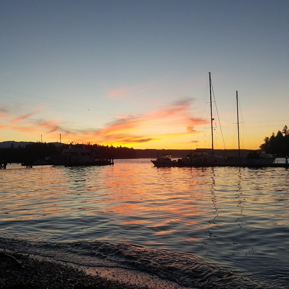 ALL $5.00 Starts, Unlisted Items Tops, Dress, Skirts, Pants & more - Picture 10 of 10